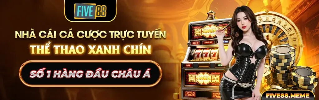 Mẹo và chiến thuật chơi đá gà hiệu quả